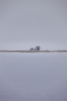 A serene winter landscape showcasing snow, bare trees, and a foggy horizon.