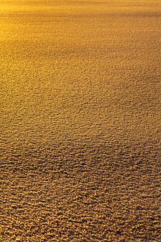 A golden textured surface capturing the warmth of a sunset, ideal for aesthetic backgrounds.