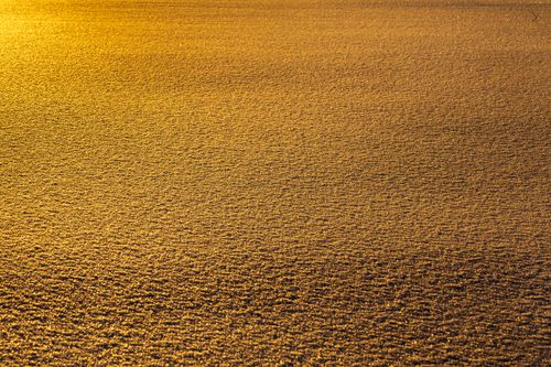Free Captivating abstract pattern of a golden textured surface with warm sunlight at dawn. Stock Photo