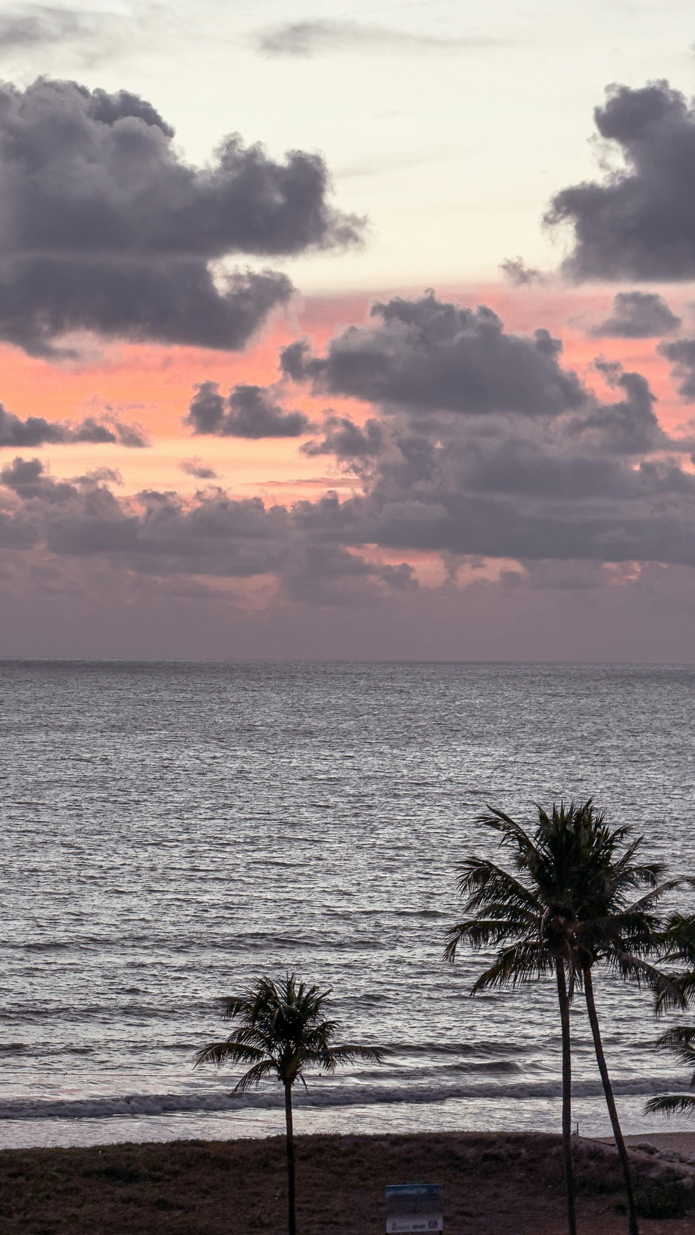 Experience a breathtaking sunrise over the ocean with palm trees in Cabedelo, Paraíba, Brazil.