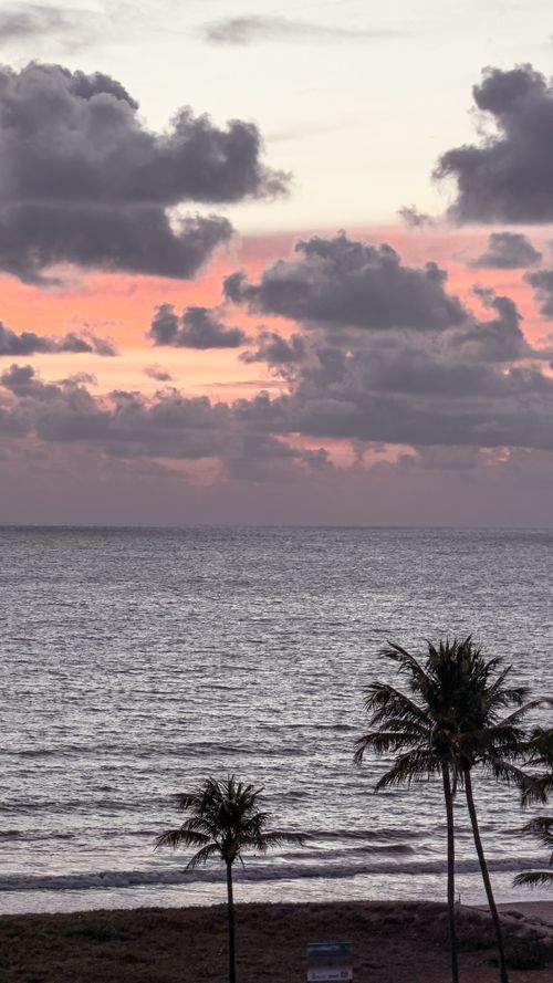 Free Experience a breathtaking sunrise over the ocean with palm trees in Cabedelo, Paraíba, Brazil. Stock Photo