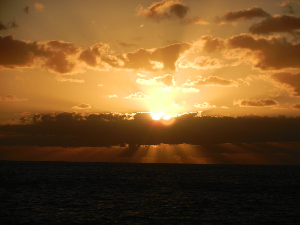 Close-up of a hand holding a latte mug with foam on top