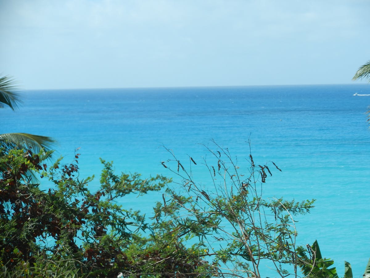 Breakfast scene with coffee, toast, and fruit on a bright table
