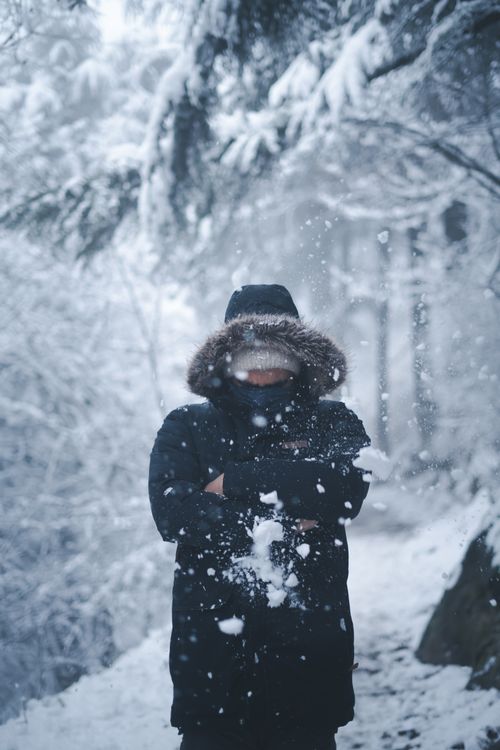 Free A person braving the snowstorm in a snow-covered forest in Srinagar, Kashmir. Stock Photo