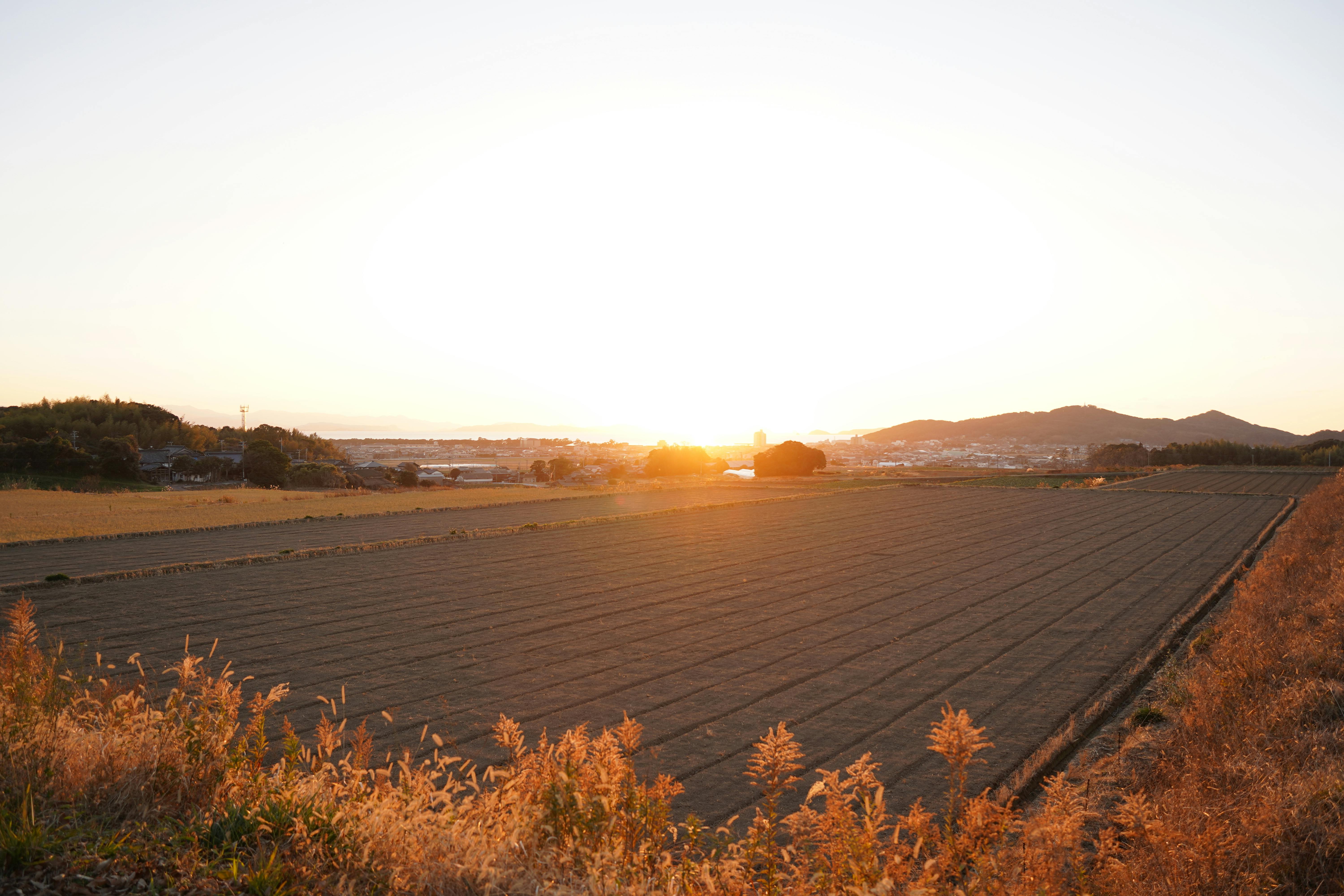遠くの丘を背景に、耕されたばかりの畑に沈む静かな夕日。