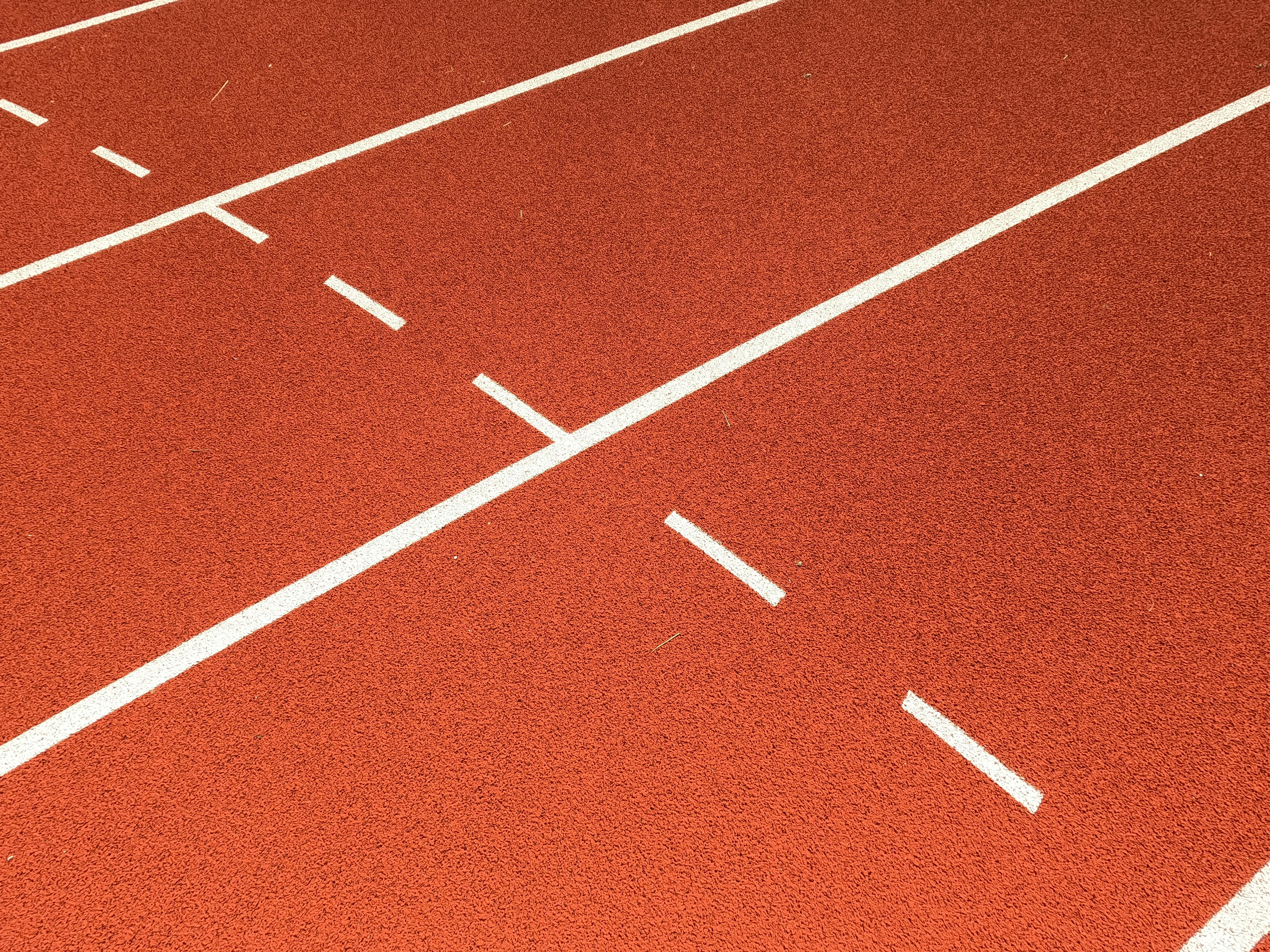 Fast Track to Financial Independence: Siren Climbs 2% — Photo by Jef K on Pexels