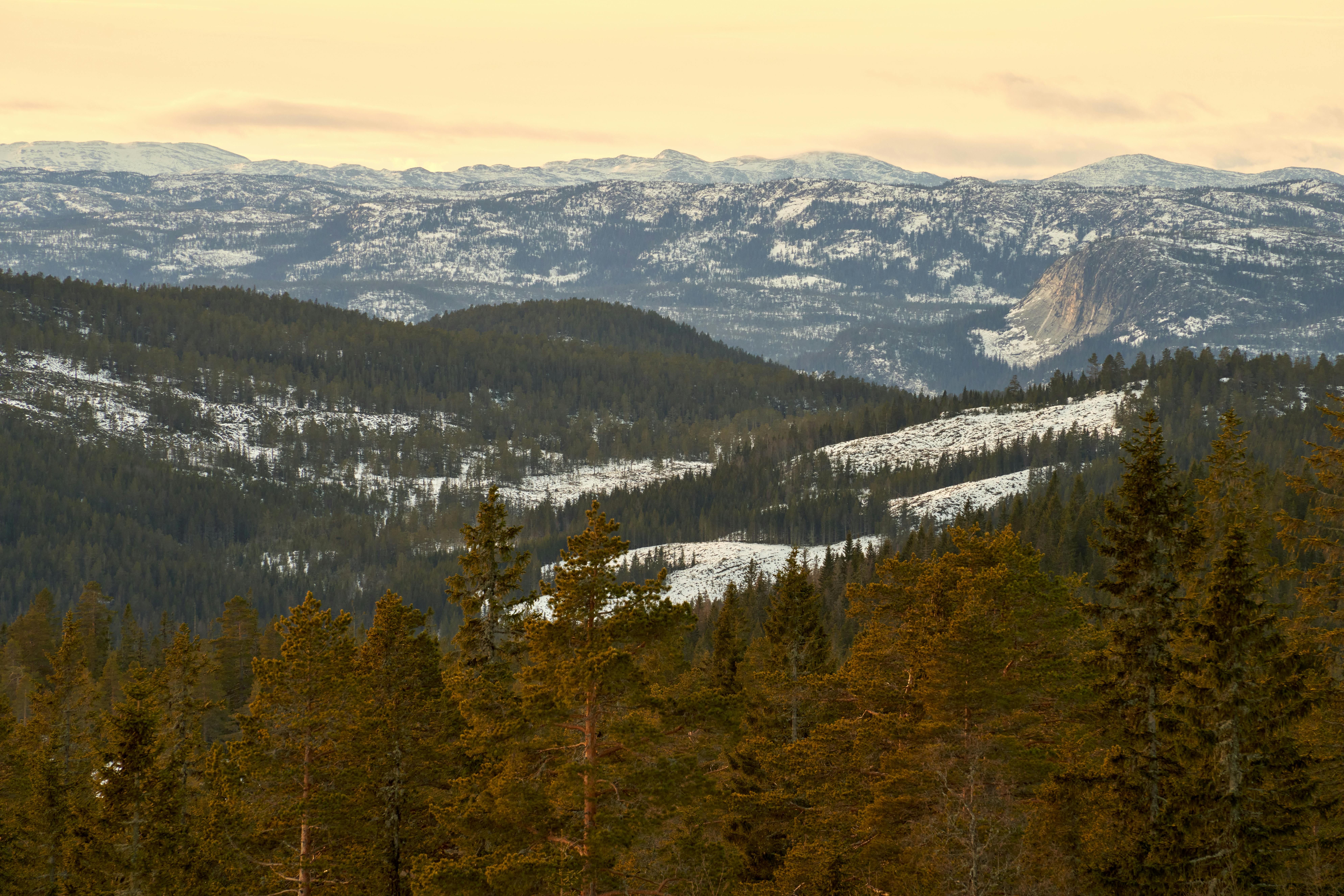 Trekking in Betaab Valley