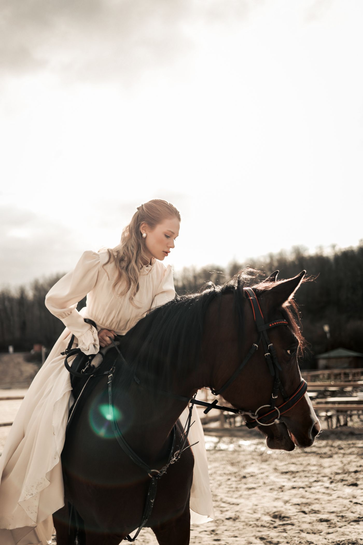 Equestrian rider in elegant countryside setting