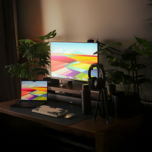 Duo Dual-Monitor Riser