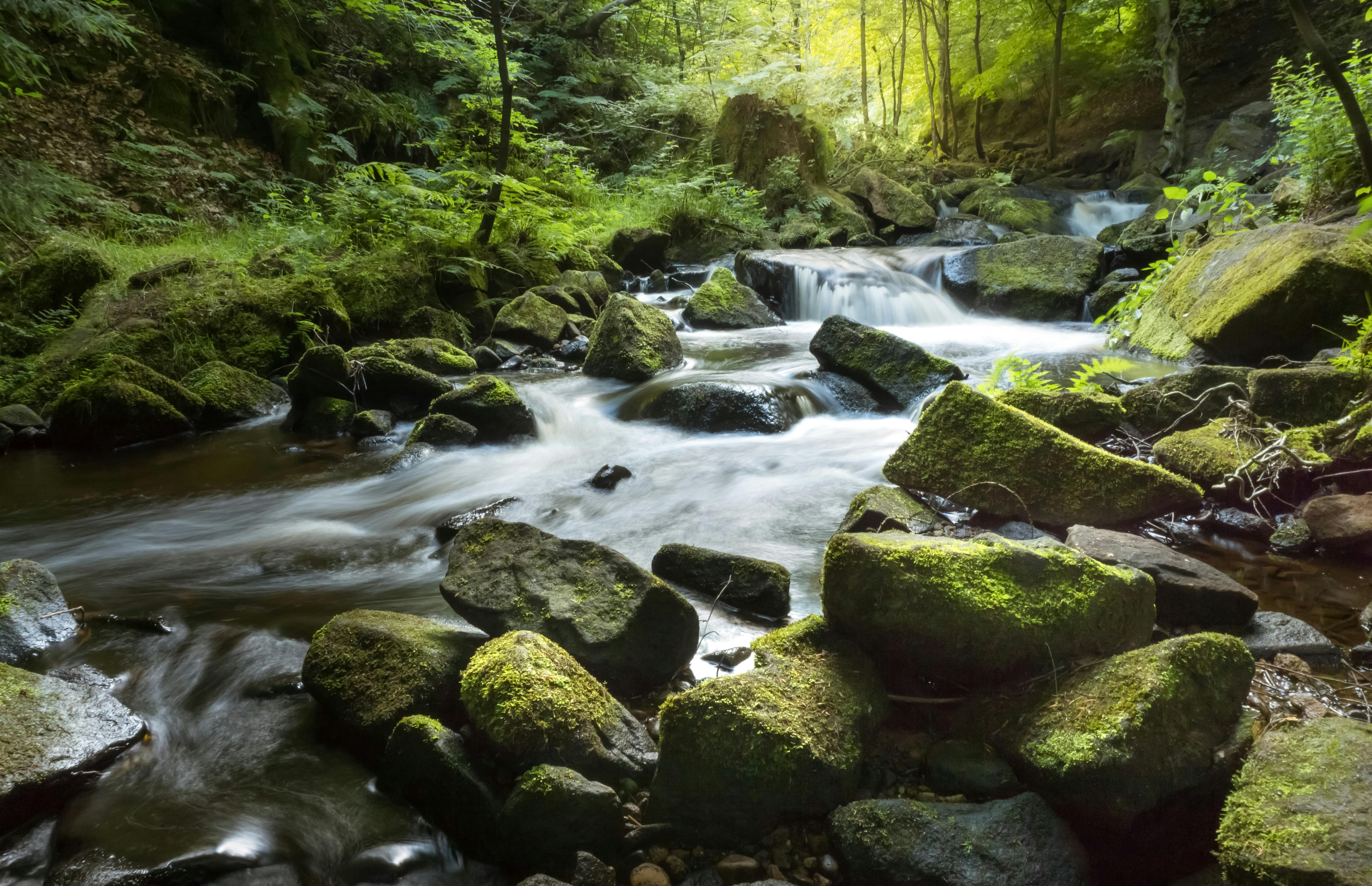 New Jersey Department of Environmental Protection | Sea Level Rise — Photo by Ryan  Thomas on Pexels