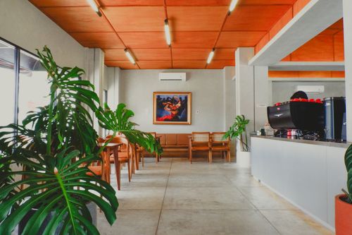 Free Stylish cafe setting with modern decor and lush monstera plants. Stock Photo