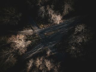 Aerial view of a dark river delta — Dillon Hunt on Pexels