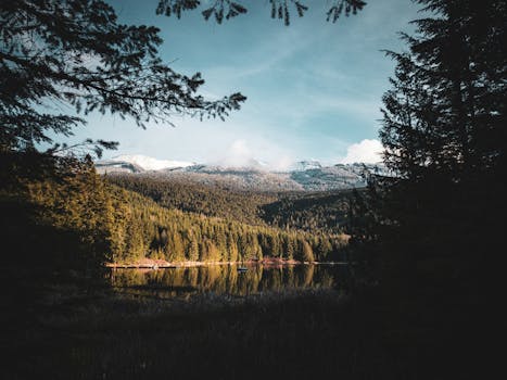 Captivating landscape of Whistler's snowy mountains and tranquil lake, framed by lush forest.