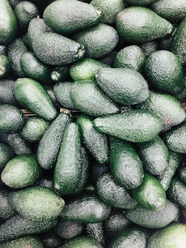 avocado image 4