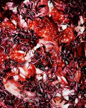 A vibrant red salad topped with fresh microgreens and raspberries, offering a burst of color and flavor.