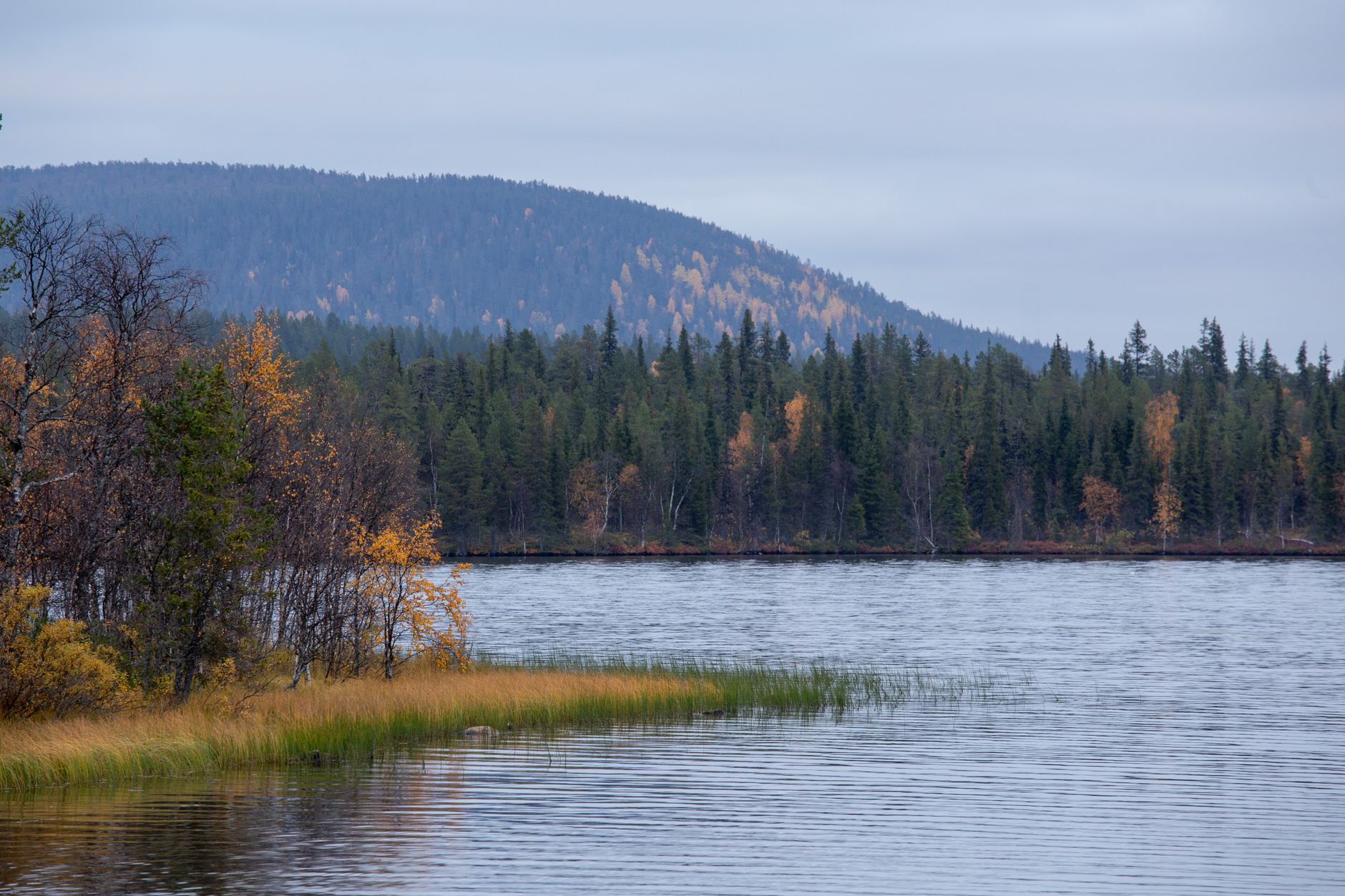 Finnish Lapland