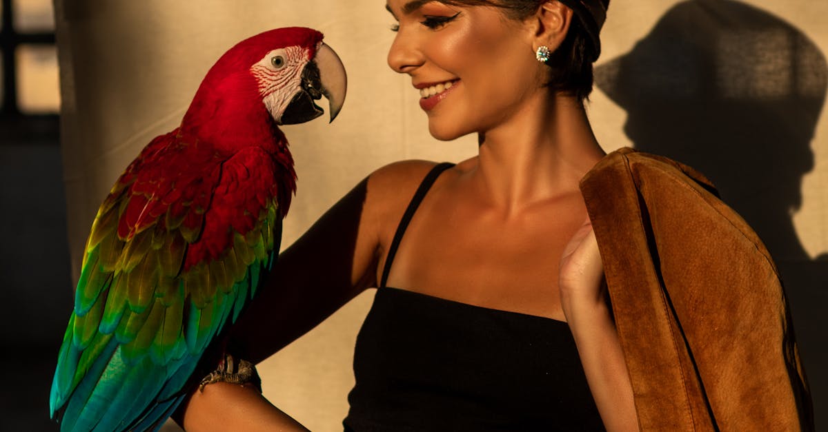 Scarlet Macaw on Woman's Arm