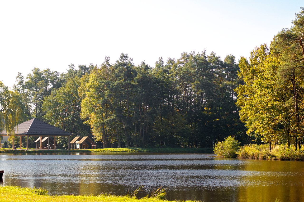 a serene lakeside view with lush green forest and cabins under a clear