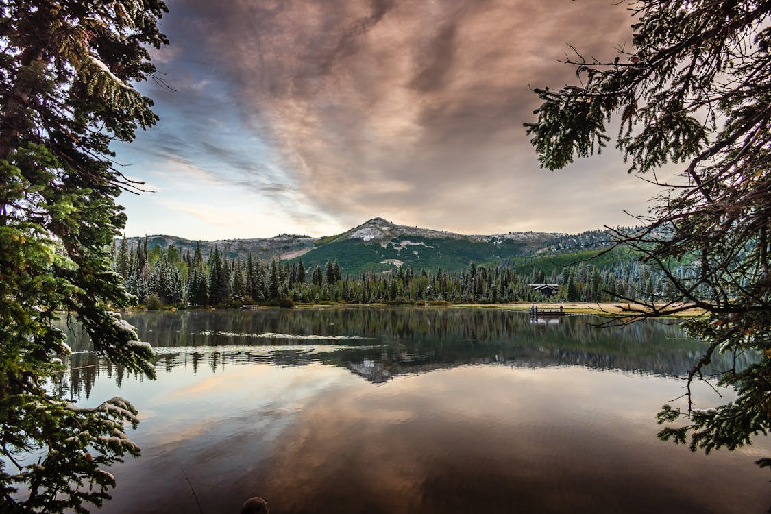 Mountain and Pine Trees Surrounding a Body of Water