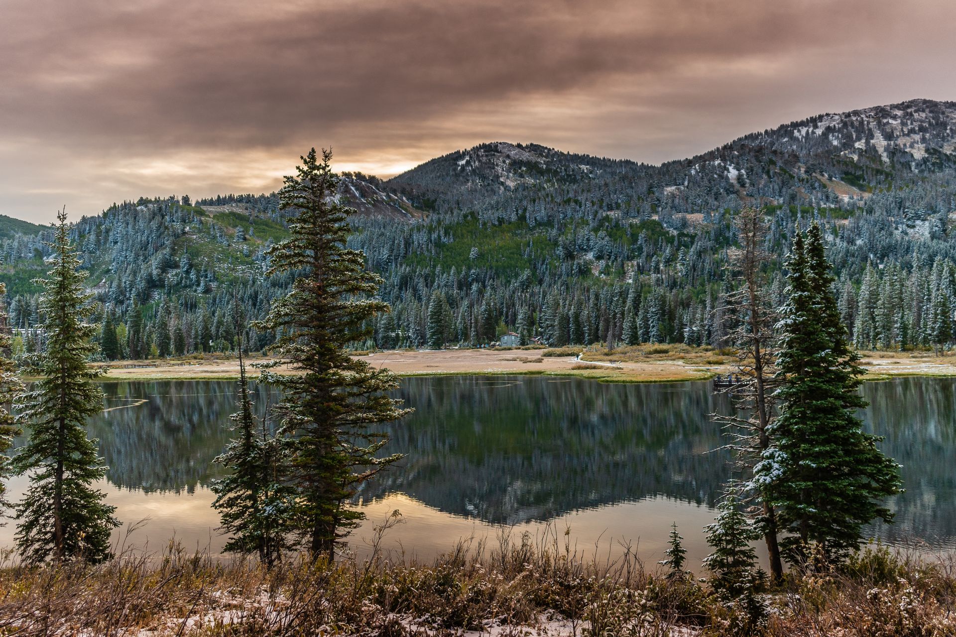 Tranquil mountain lake with pine forest reflection and snowy peaks in Utah, USA.