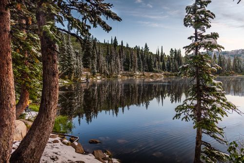 Free A tranquil lake scene with snowy pine trees reflecting in the water, captured in Utah. Stock Photo