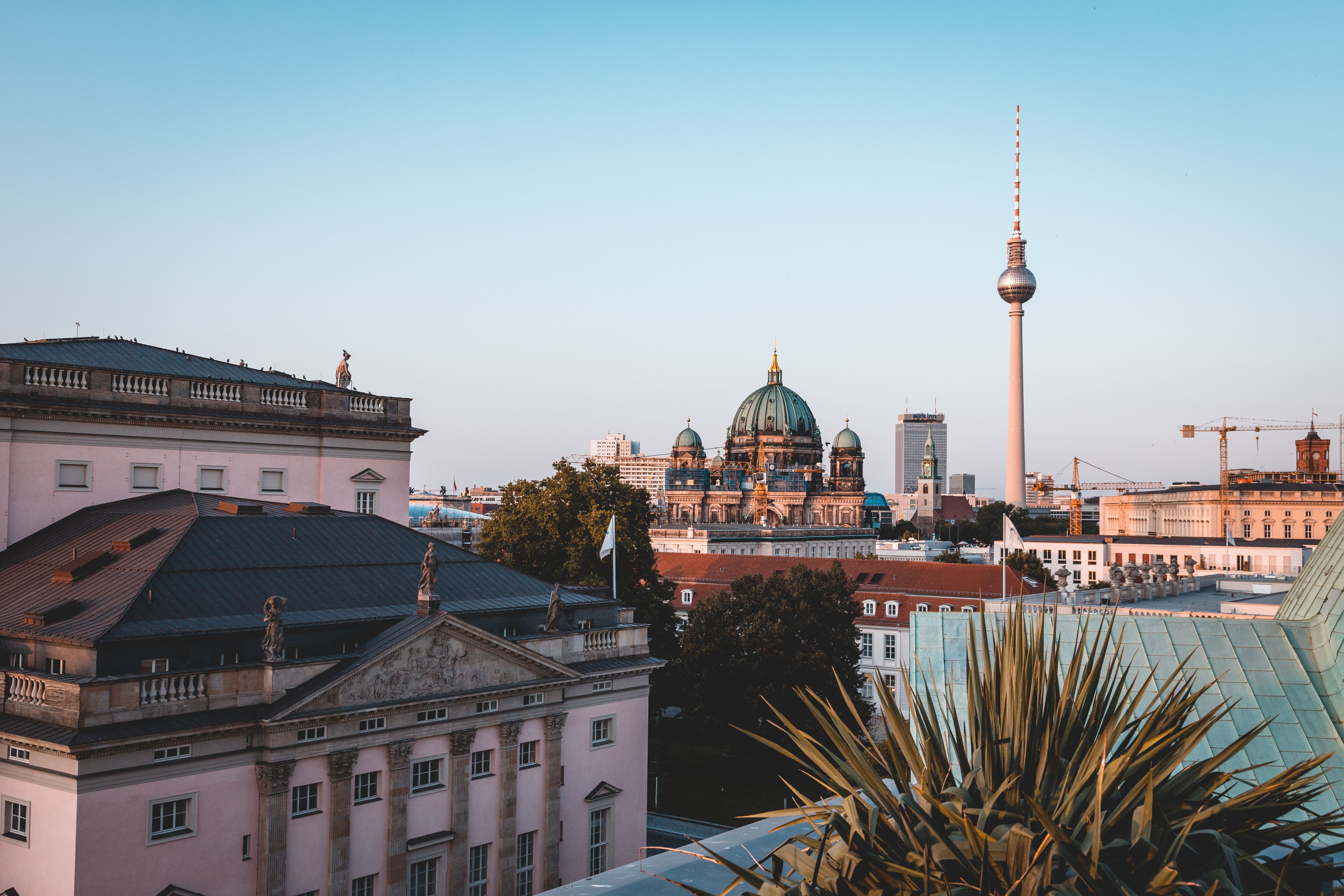 Berlin calls Europe’s immigration hard-liners to summit on asylum rules — Photo by Sabine Otten on Pexels