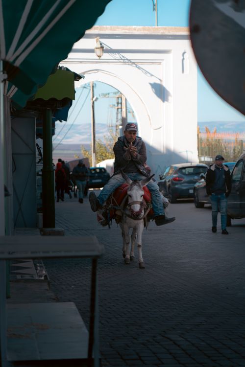 Free A man rides a donkey through an urban street, passing a white archway in a lively scene. Stock Photo