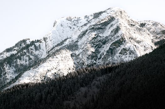 Stunning winter landscape of snowy mountains and forest in Vancouver, Canada at sunset.