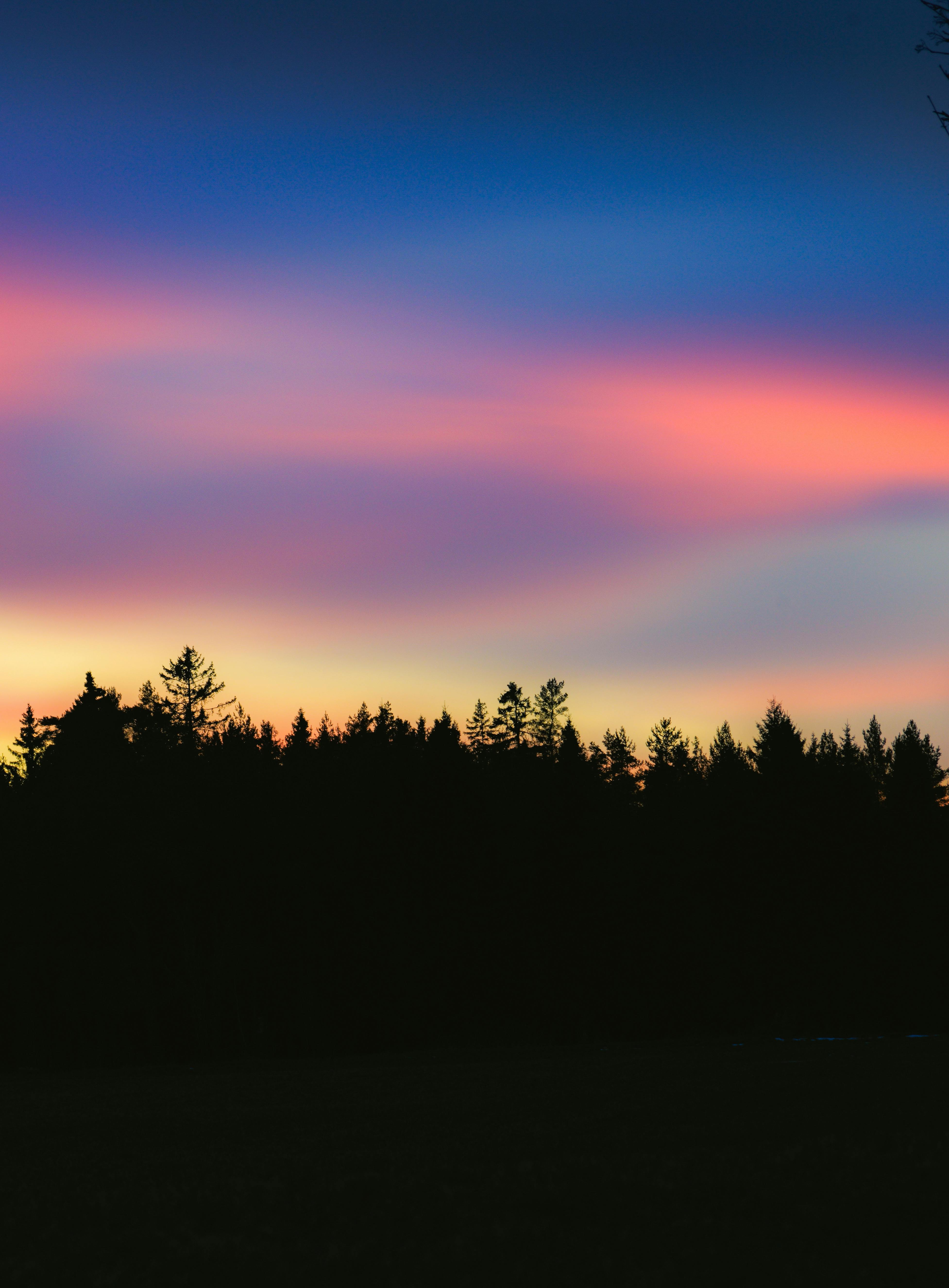 A stunning silhouette of trees against a colorful, dramatic sunset sky.