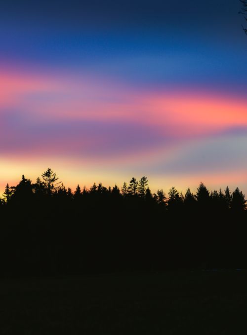 Free A stunning silhouette of trees against a colorful, dramatic sunset sky. Stock Photo