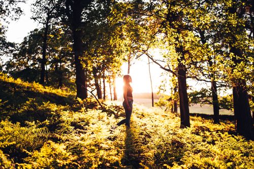 Free Woman walking in a sunlit forest during golden hour, capturing nature's beauty. Stock Photo