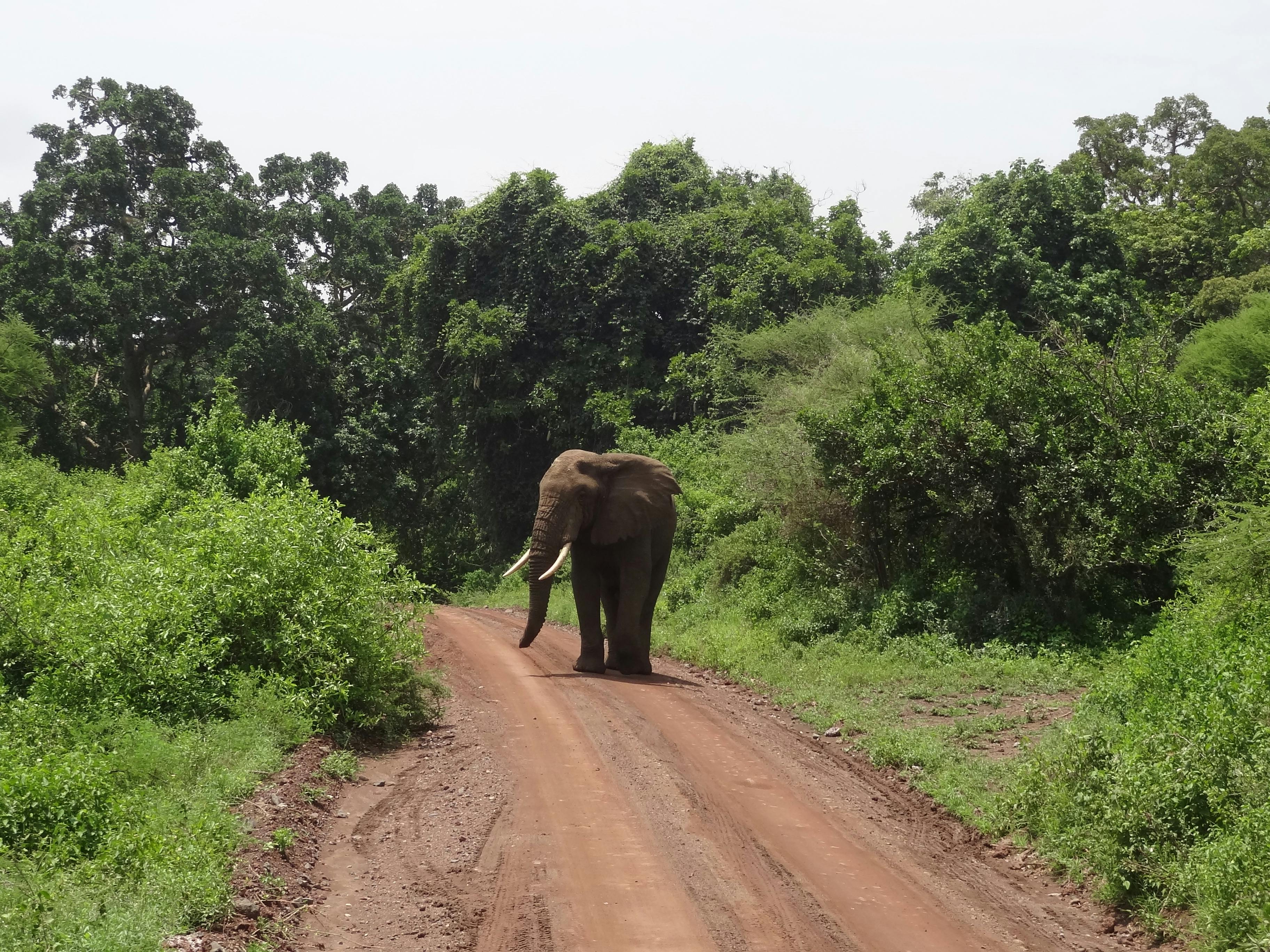 Lake Manyara National Park