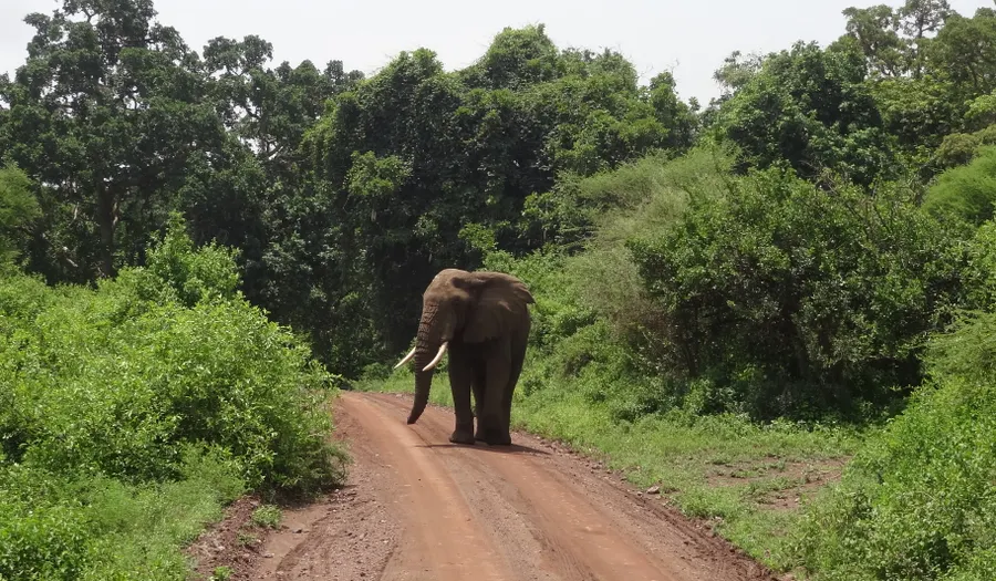Lac Manyara