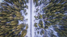 冬季，无人机拍摄的挪威霍尔一条穿过松林的积雪道路