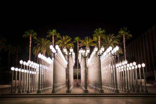 LACMA and The Broad private tour — Los Angeles