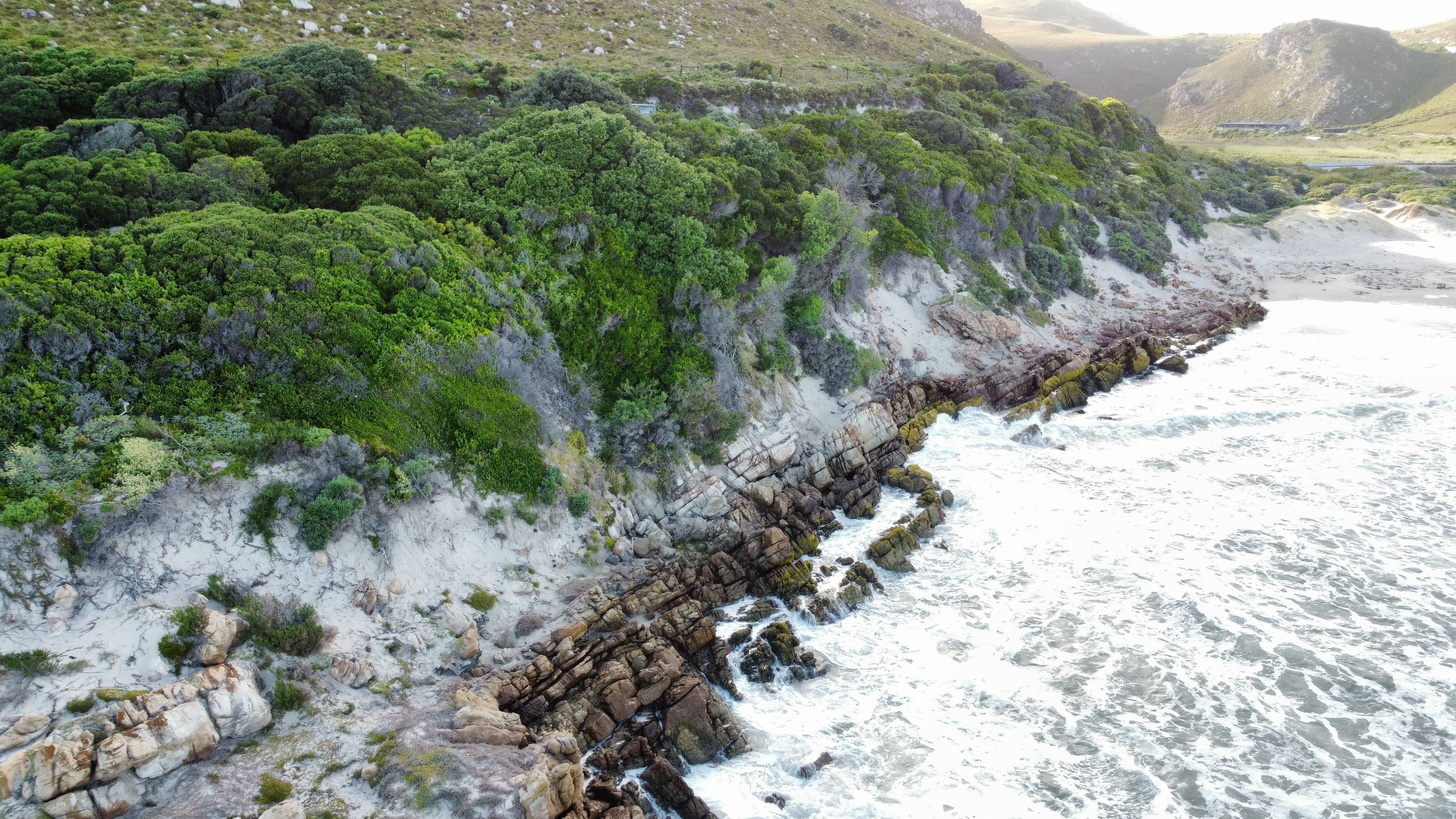 Scenic Coastal Landscape with Lush Greenery · Free Stock Photo
