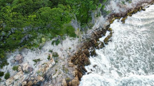 Free Stunning aerial view of a rocky coastline meeting lush green forests along the shore. Stock Photo