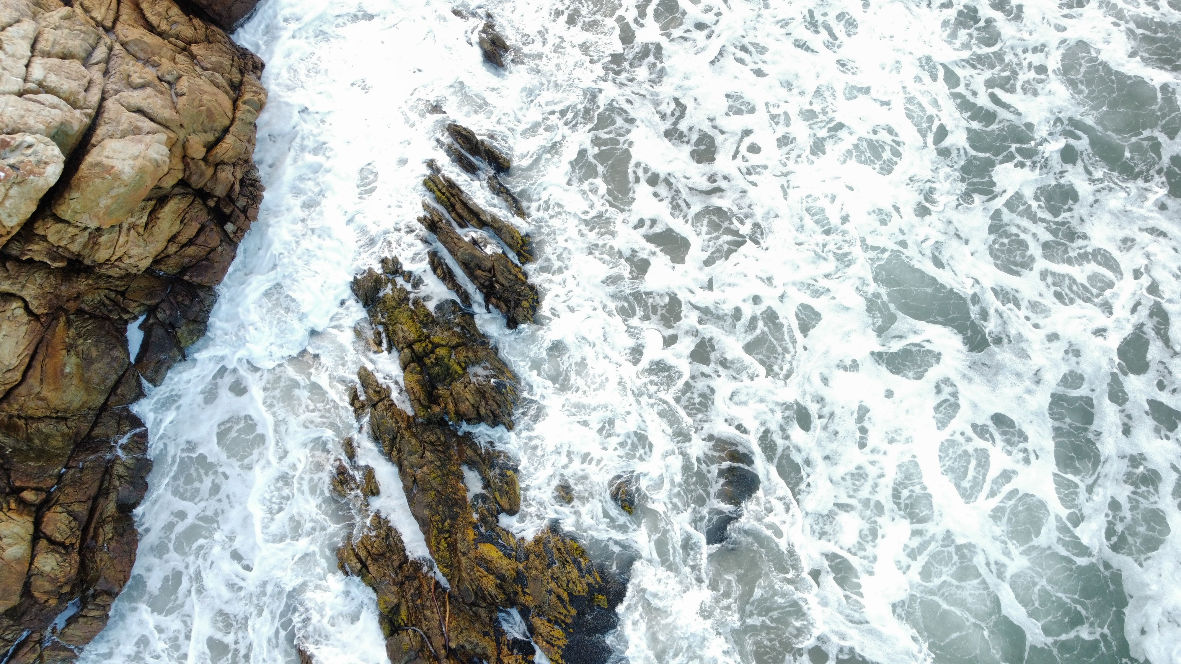 New Jersey Department of Environmental Protection | Sea Level Rise — Photo by Rohann  Van Zyl on Pexels