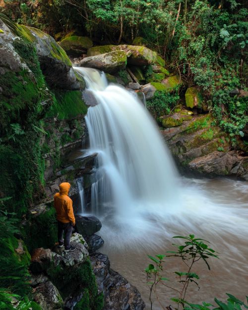 Free A person in a yellow jacket observes a serene waterfall in the lush Amazonas forest, Peru. Stock Photo