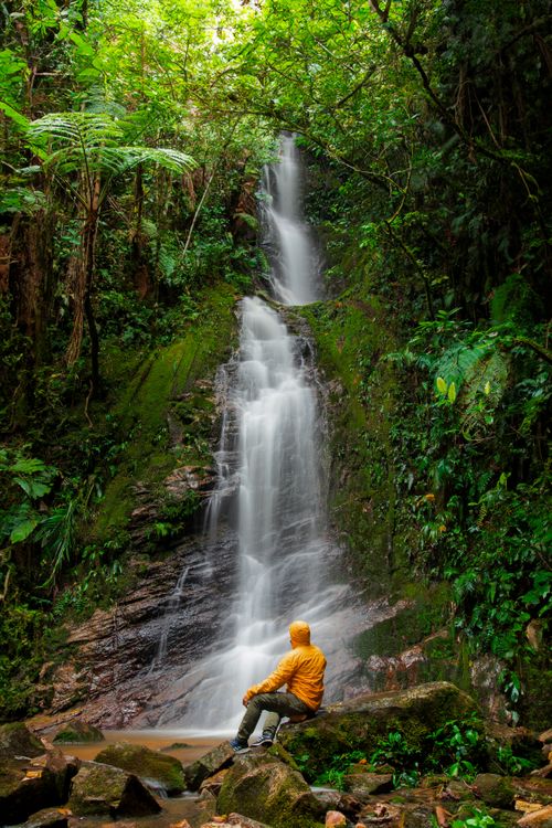 Free A person in a yellow jacket sits in front of a majestic Amazonian waterfall in Peru. Stock Photo