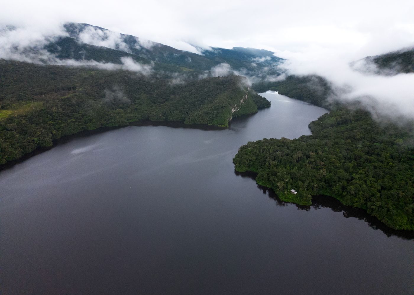 Aerial view of the Amazon River flowing through rainforest in Peru