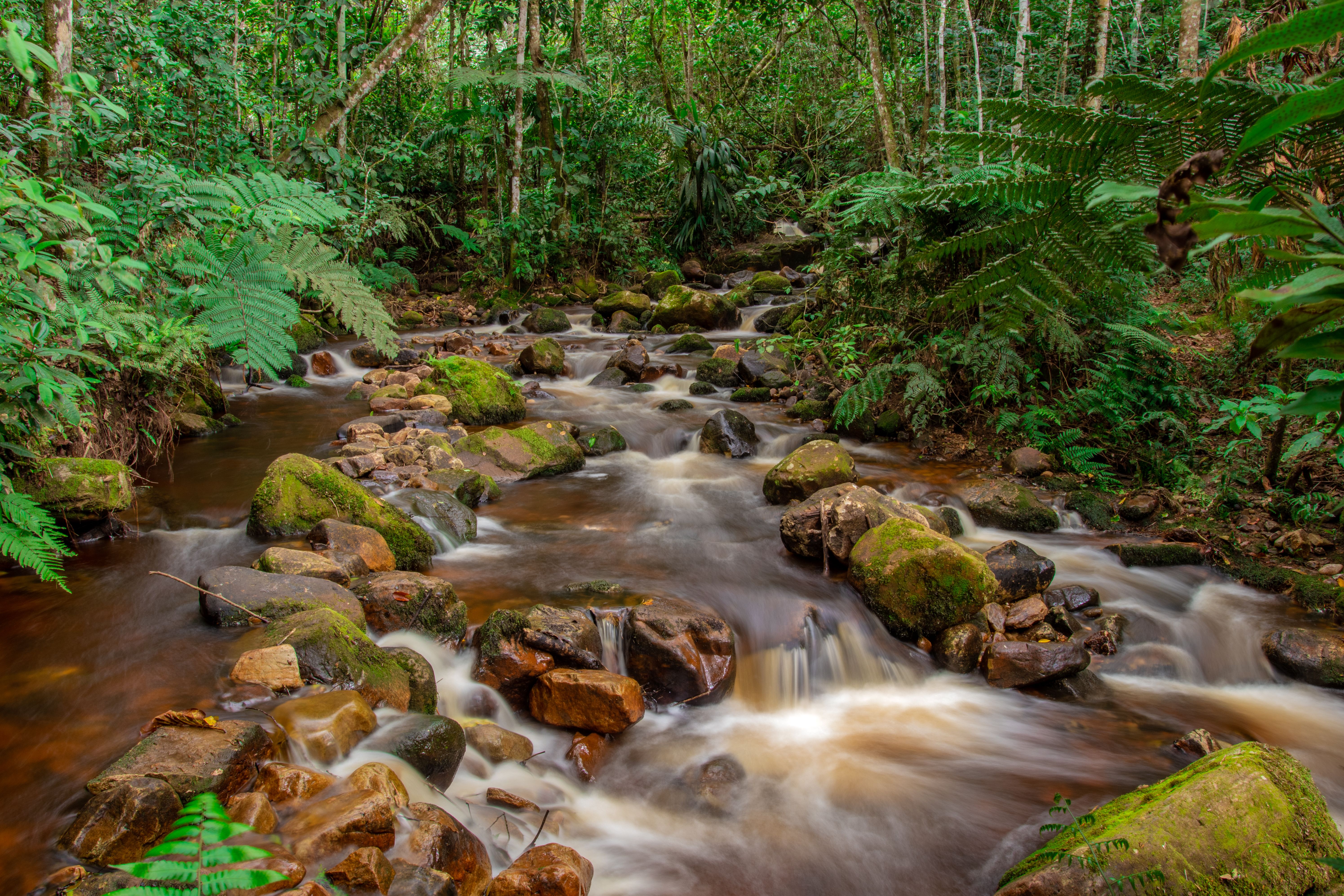 27 New Species Found in a Peru Region of 200,000 People