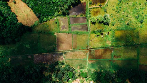 Fotobanka s bezplatnými fotkami na tému dedinský, fotografia z dronu, letecké snímkovanie