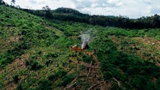 鸟瞰图中，一座乡村小屋坐落在郁郁葱葱的森林空地上，炊烟袅袅升起，四周环绕着山区地形
