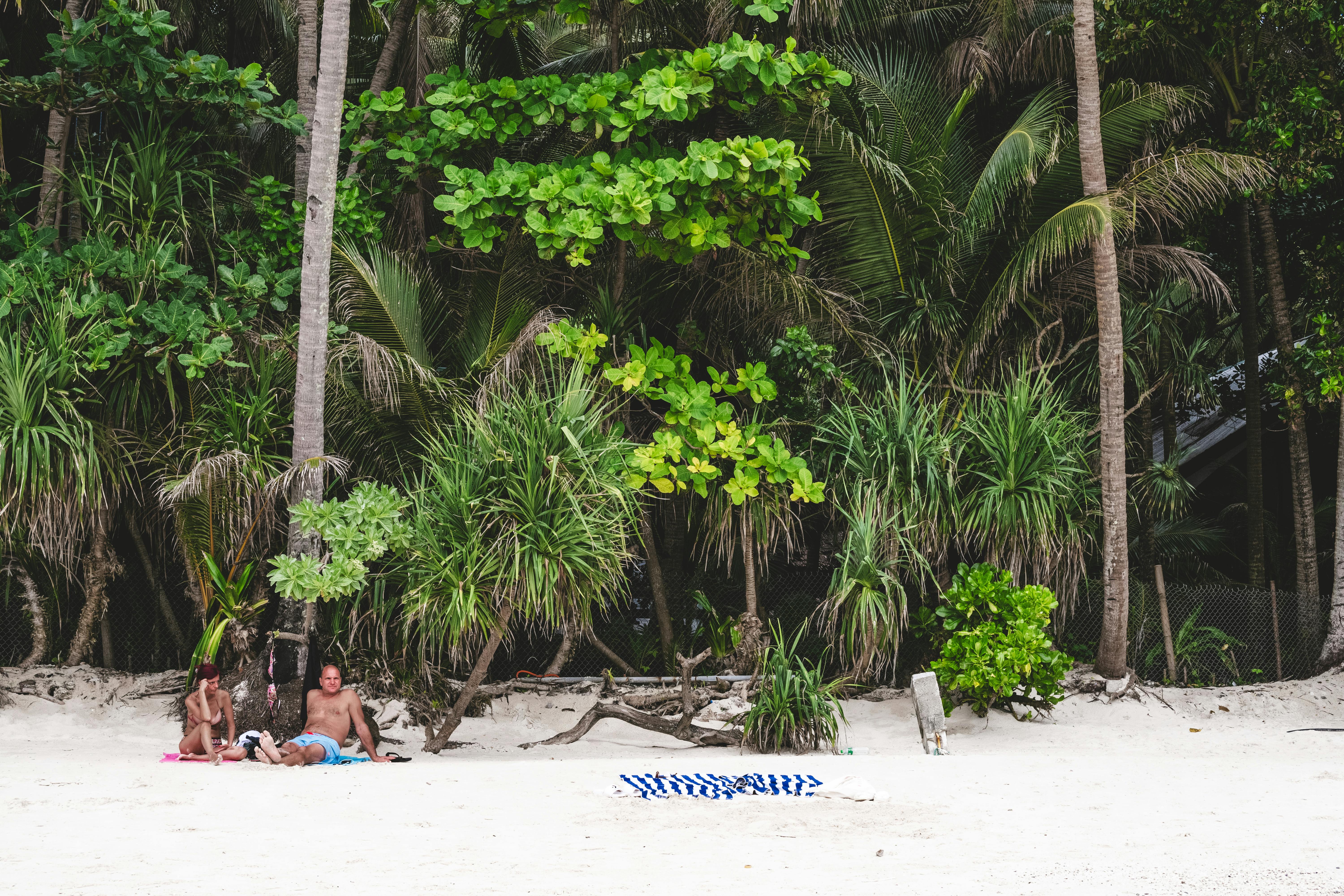 A tranquil scene with people relaxing on a tropical beach surrounded by lush greenery.