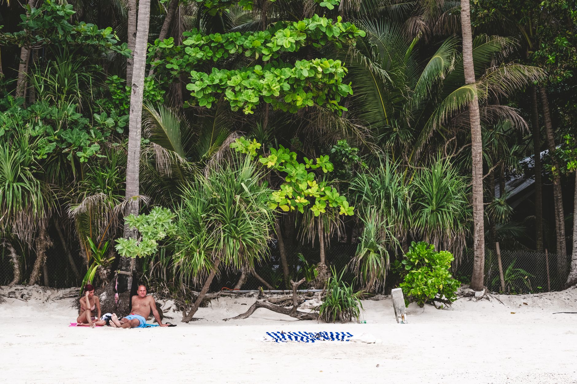 A tranquil scene with people relaxing on a tropical beach surrounded by lush greenery.