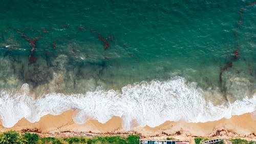 Сверху фото волн, разбивающихся о берег чистой воды океана