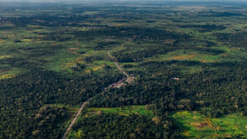 Aerial View of Vast Lush Land With Houses Built Along The Side Of A Road