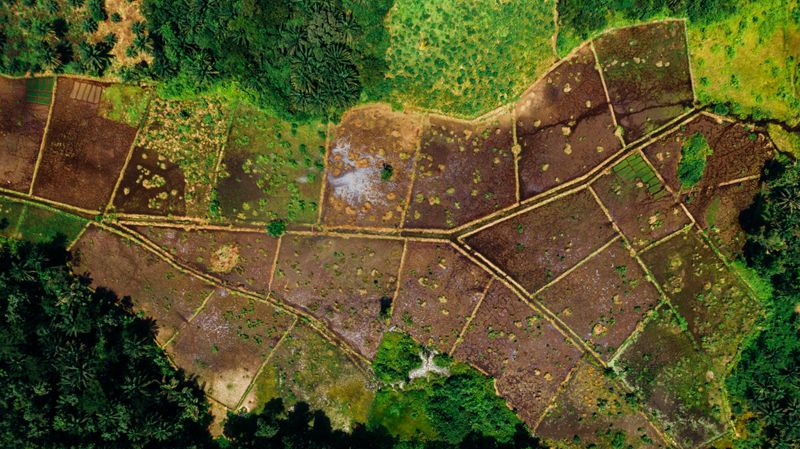 Aerial patchwork of farmland plots