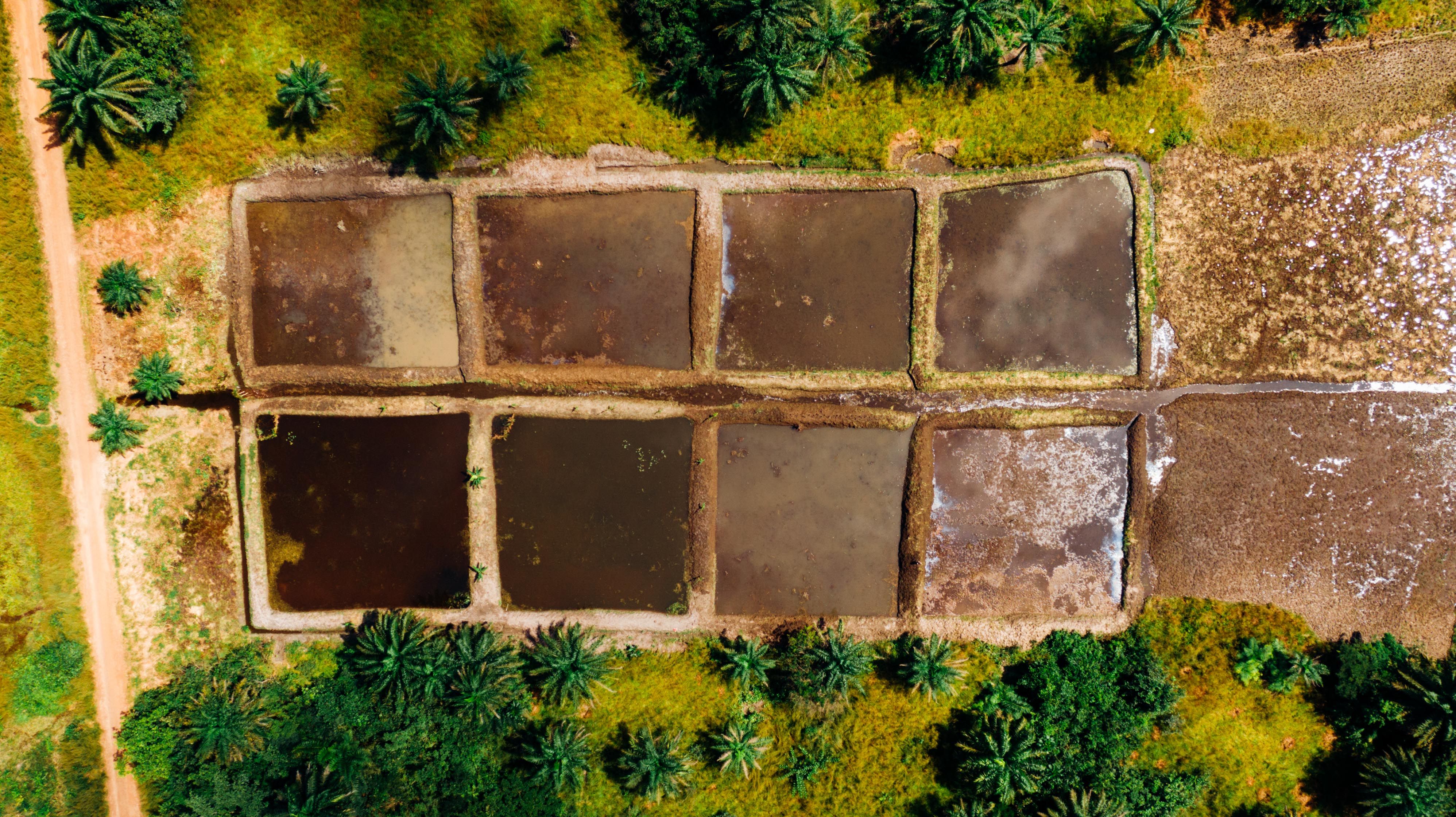 Aerial Photography Of Muddy Field Free Stock Photo